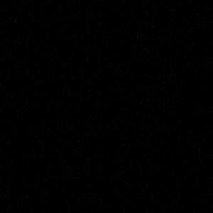 Meet your Posher, Damaris